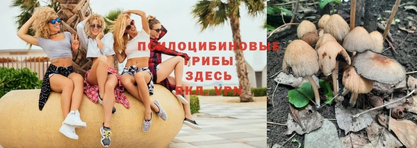 spice Нягань