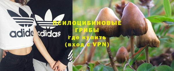 mix Няндома