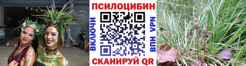 Галлюциногенные грибы мицелий МЕГА как зайти Анива